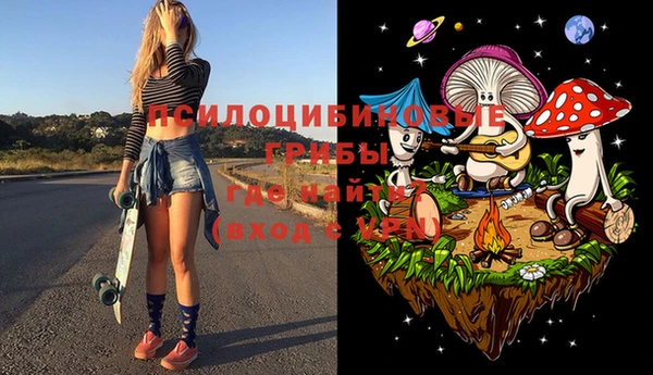 не бодяженный Абаза