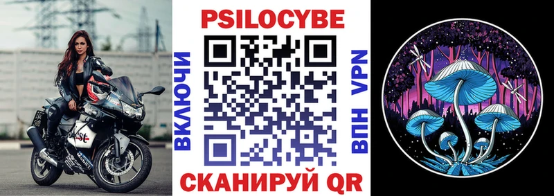 mega tor  Новомичуринск  Галлюциногенные грибы MAGIC MUSHROOMS  купить наркотики сайты 