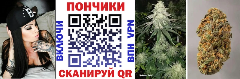 Канабис гибрид  Новомичуринск 
